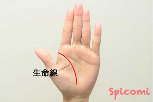 手相占いの生命線の意味と見方［右手左手両手別］