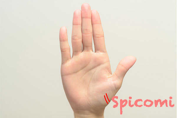 右手にカリスマ線がある