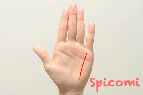 長い直感線［手相占い］