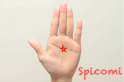 左手に五芒星がある