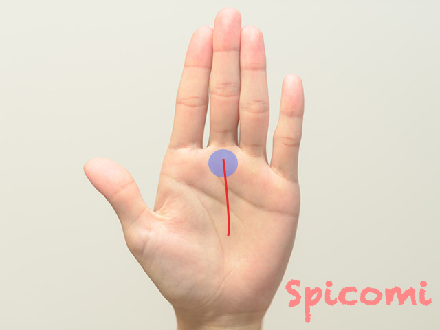 中指の下の縦線