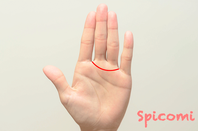 金星帯がきれいに現れている