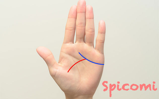 ハッキリと未練線（未練タラタラ線）が出ている［手相占い］