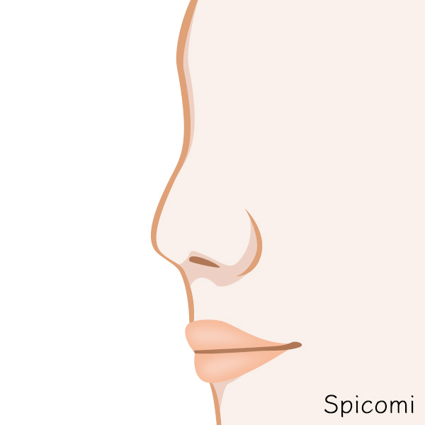 ぺちゃ鼻［鼻の形の種類診断］