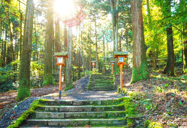 赤い光が見えるスピリチュアルな意味
