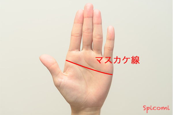 ［手相占い］横線一本のマスカケ線
