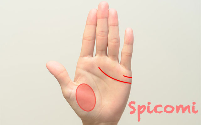 幸せになる女性の手相の特徴