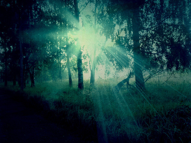 聖職紋を持つ人の霊感