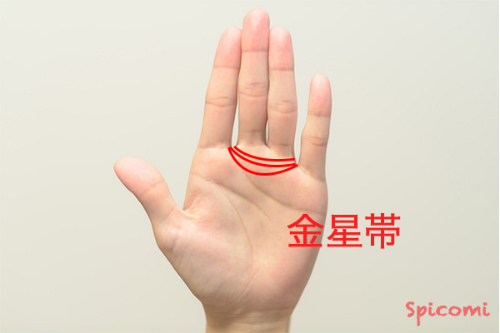 ［手相占い］金星帯（金星環）が二重・三重に現れている