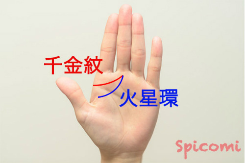 千金紋（成り上がり線）と火星環の違い