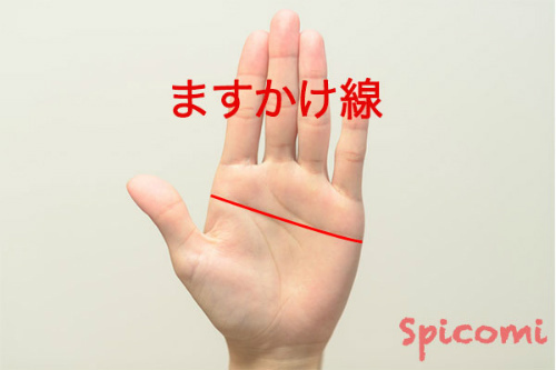 ますかけ線（手相占い）