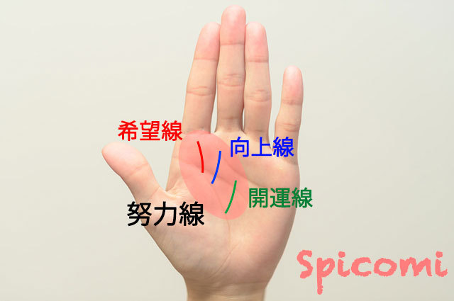 希望線・向上線・努力線・開運線の違い