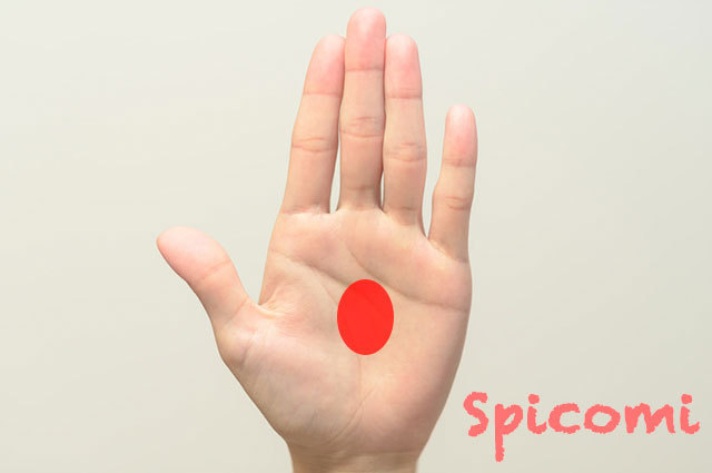 手相占いで火星平原の意味と見方とは?場所は?