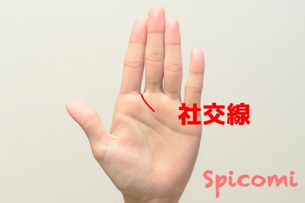 手相占いで社交線の意味とは？