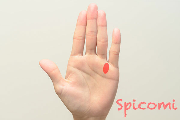 手相占いで薬指と小指の間の意味とは？