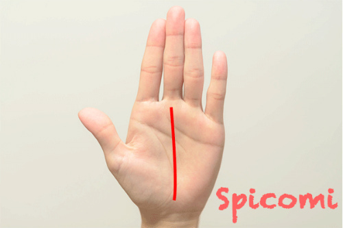 運命線が濃い手相