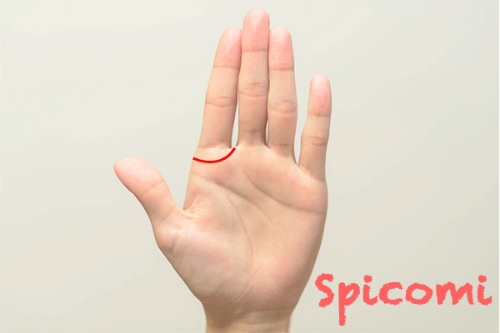 手相占いのソロモンの環