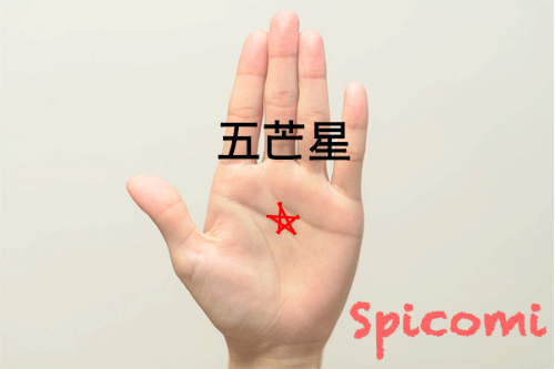 手相の五芒星の意味