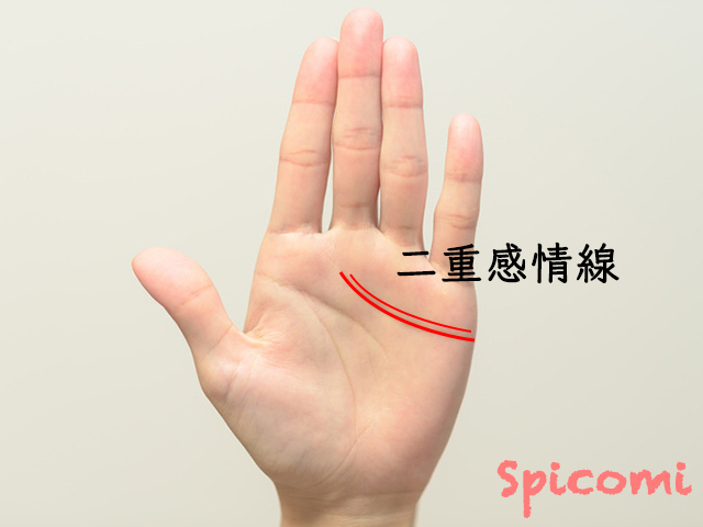 分離感情線と二重感情線の違い