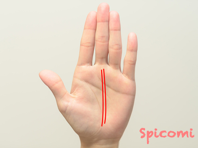 手相で運命線が2本ある意味