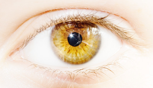 獣眼の特徴5個