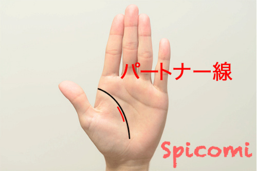 手相占いのパートナー線（印象線）の意味と形