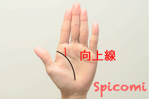 手相占いで向上線の意味と形とは？人差し指？中指？