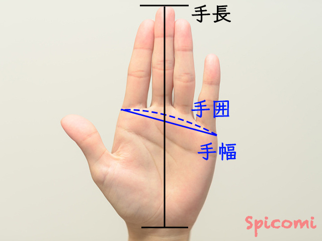 手が小さいの基準は？遺伝？