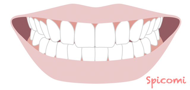 人相学で歯並びとは?