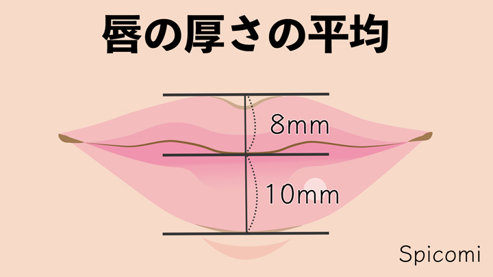 たらこ唇の厚さの基準は？
