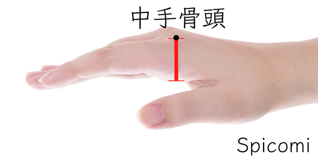 手のひらの厚みの平均サイズ