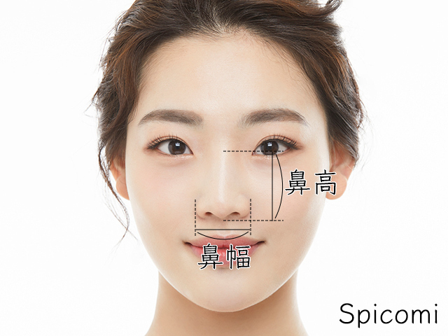 鼻の大きさの基準と平均サイズ