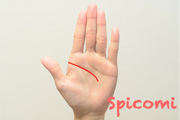 頭脳線(知能線)の意味