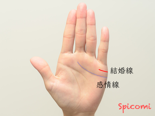 手相占いの結婚線の意味