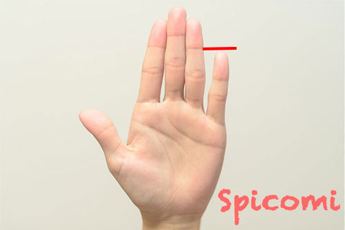 小指が短いことの意味［手相占い］