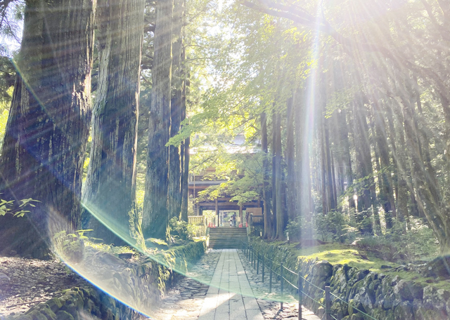 神仏の加護を受ける人の特徴10個