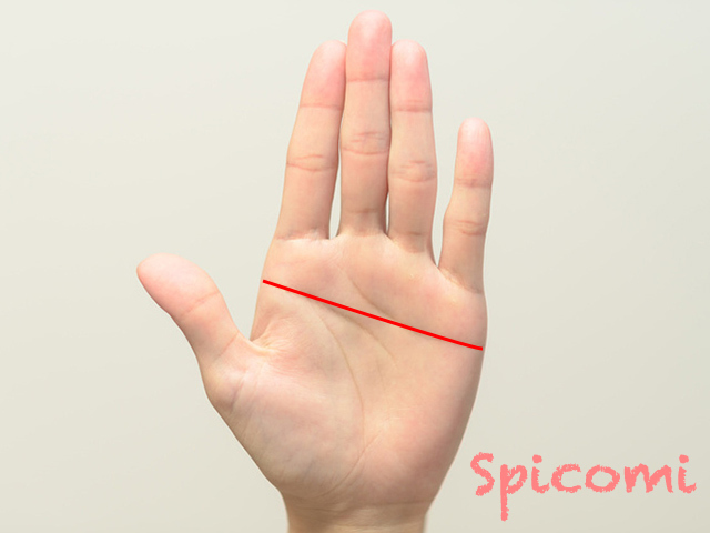 シドニー線とますかけ線の違い