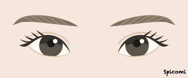 アジア人型の丸い目の性格・運勢［目の形の種類・人相占い］