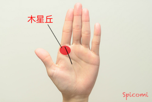 ［手相占い］木星丘に生命線から伸びた縦線が現れている