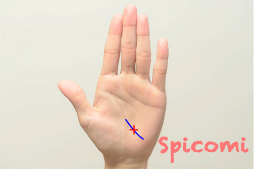 クロス（十字紋・バツ印）が旅行線にある