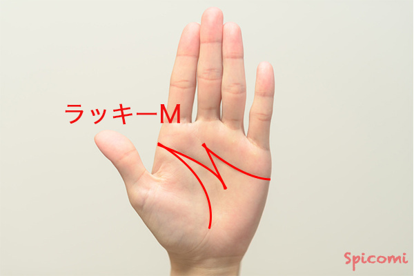 珍しい手相占い「ラッキーM線」