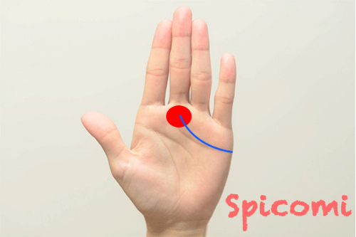 土星丘に感情線の終点が向かっている