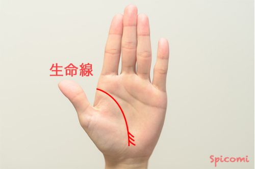 ［手相占い］生命線の末端に３本以上の支線が現れている