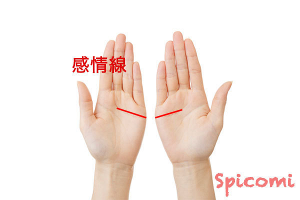 両手の感情線がつながる場合の形と意味