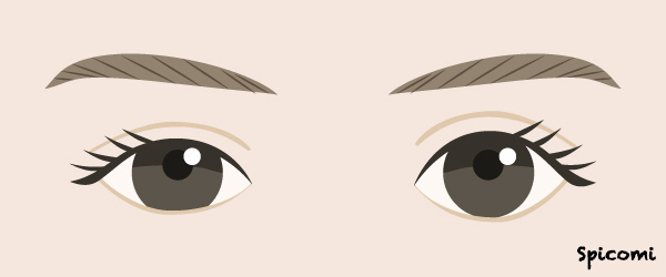 雌雄眼の性格・運勢［目の形の種類・人相占い］