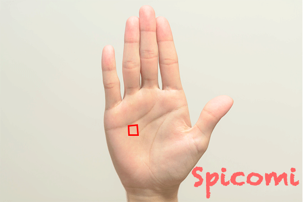 右手に四角紋・スクエアがある