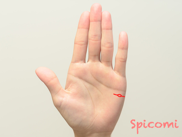 21.島がある反抗線