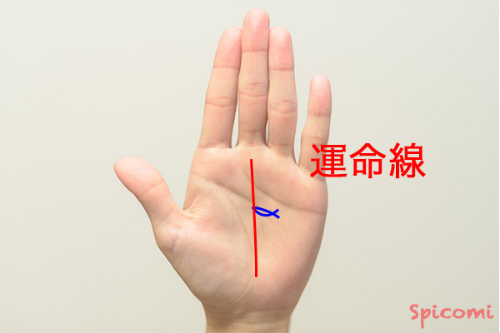 ［手相占い］フィッシュが運命線上にある場合