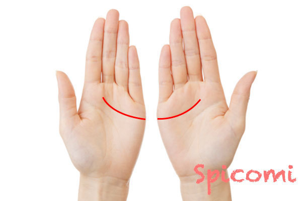 両手の感情線がつながる手相