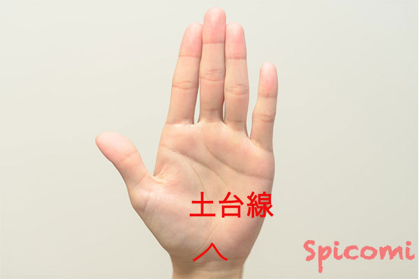 ［手相占い］土台線の形と意味